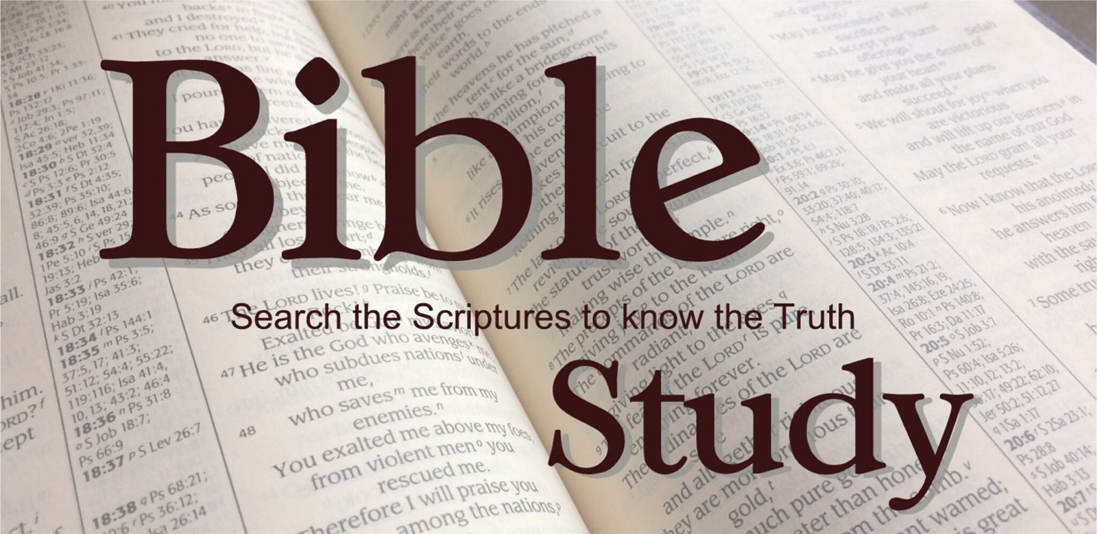 page-bible-studies